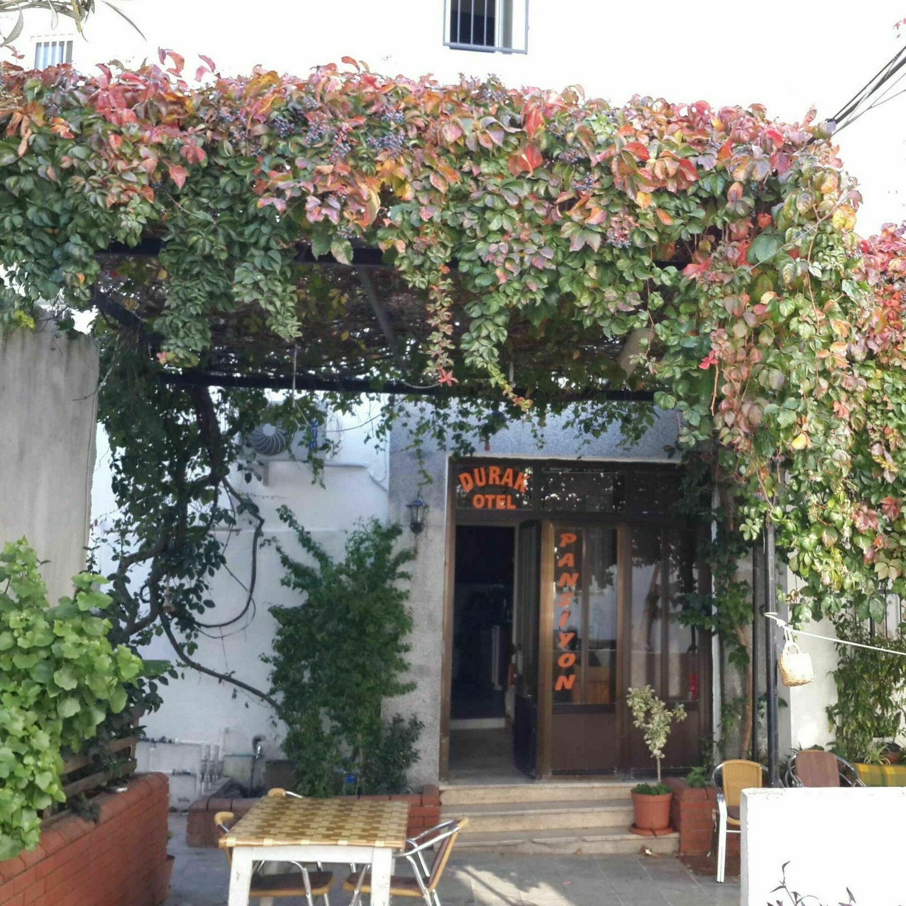Durak Hotel Bodrum Ngoại thất bức ảnh